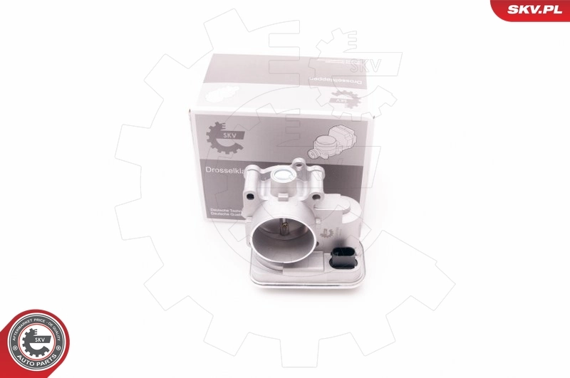 Throttle Body